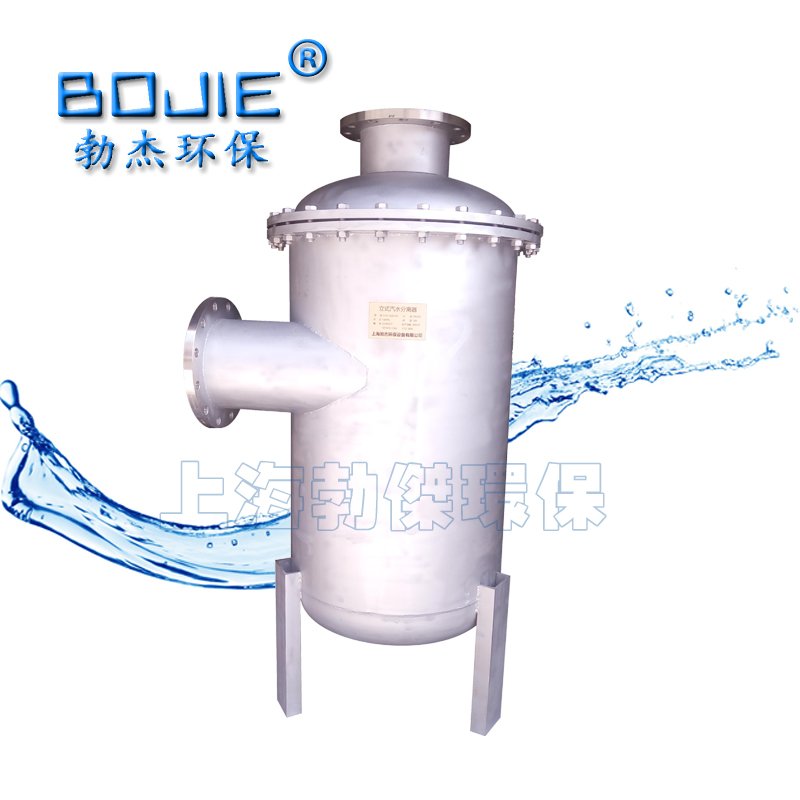 DN300BJQCH沼气气水分离器